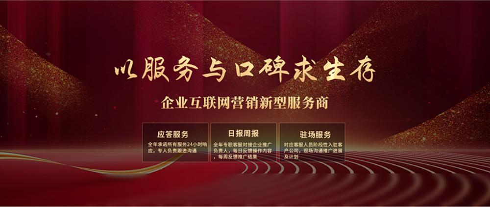 上海企业网站推广首选 上海西骏传媒，助力品牌腾飞的可靠伙伴