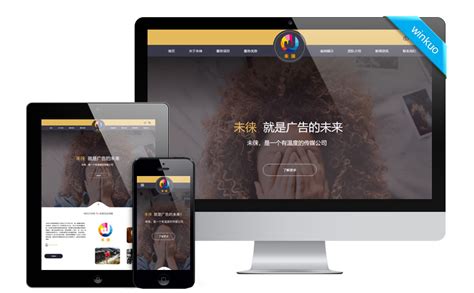 广告推广建设网站大全 看广告赚0.5元的软件整理与上海企业网站推广策略